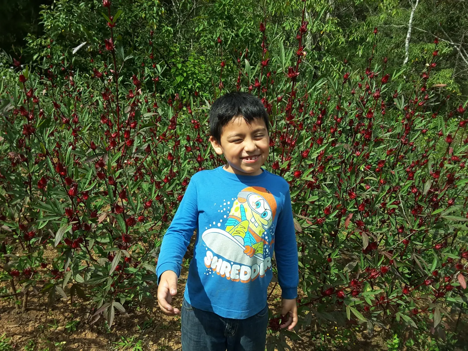 Adriel smiling with a missing tooth in front of red hibiscus plants