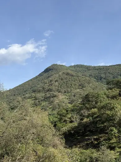 A green hill under a blue sky