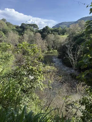 A river running between rocks and thick vegetation