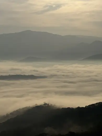 A valley filled with fog at sunrise